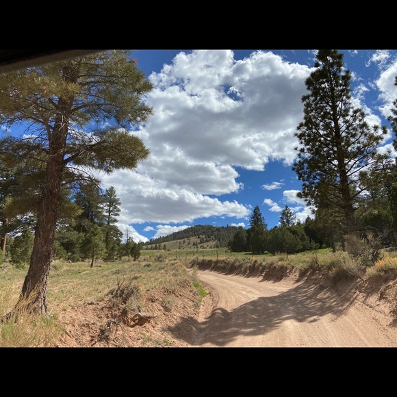 I learn so much checking out other closets! - Picture 7 of 16